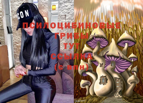 каннабис Дмитриев