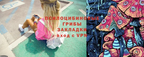 не бодяженный Дмитровск