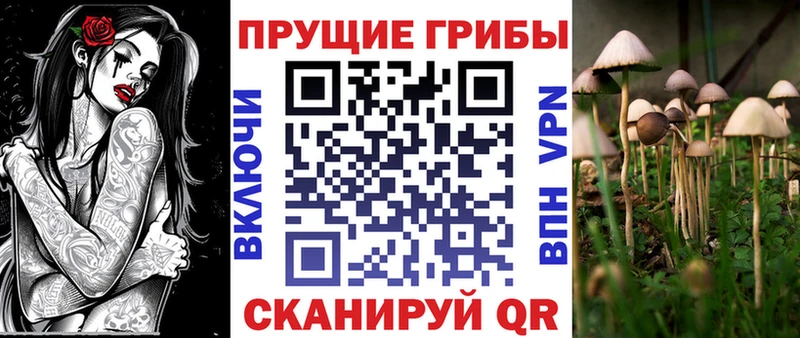 Псилоцибиновые грибы мухоморы  Купить где  Междуреченск 